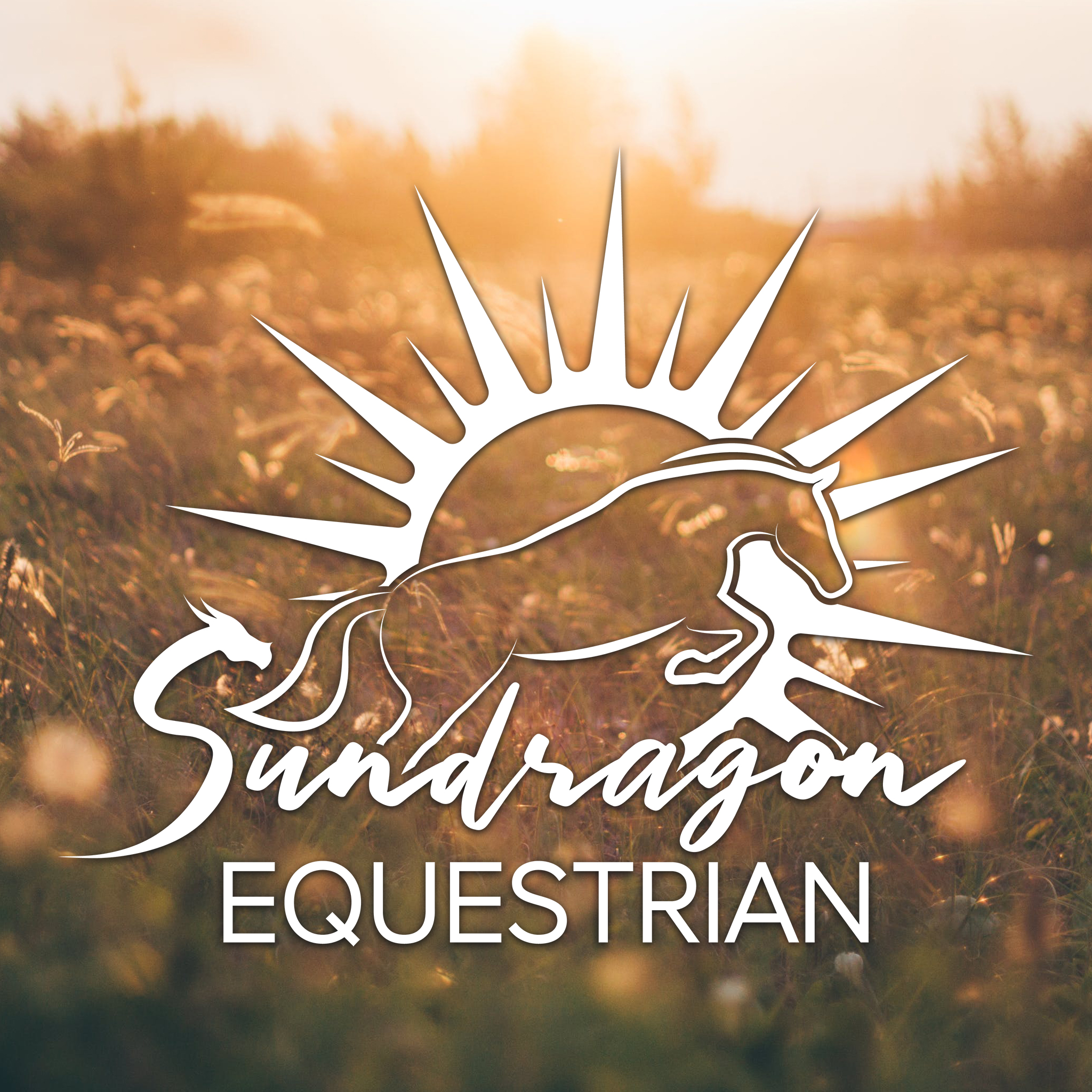 Sundragon Equestrian