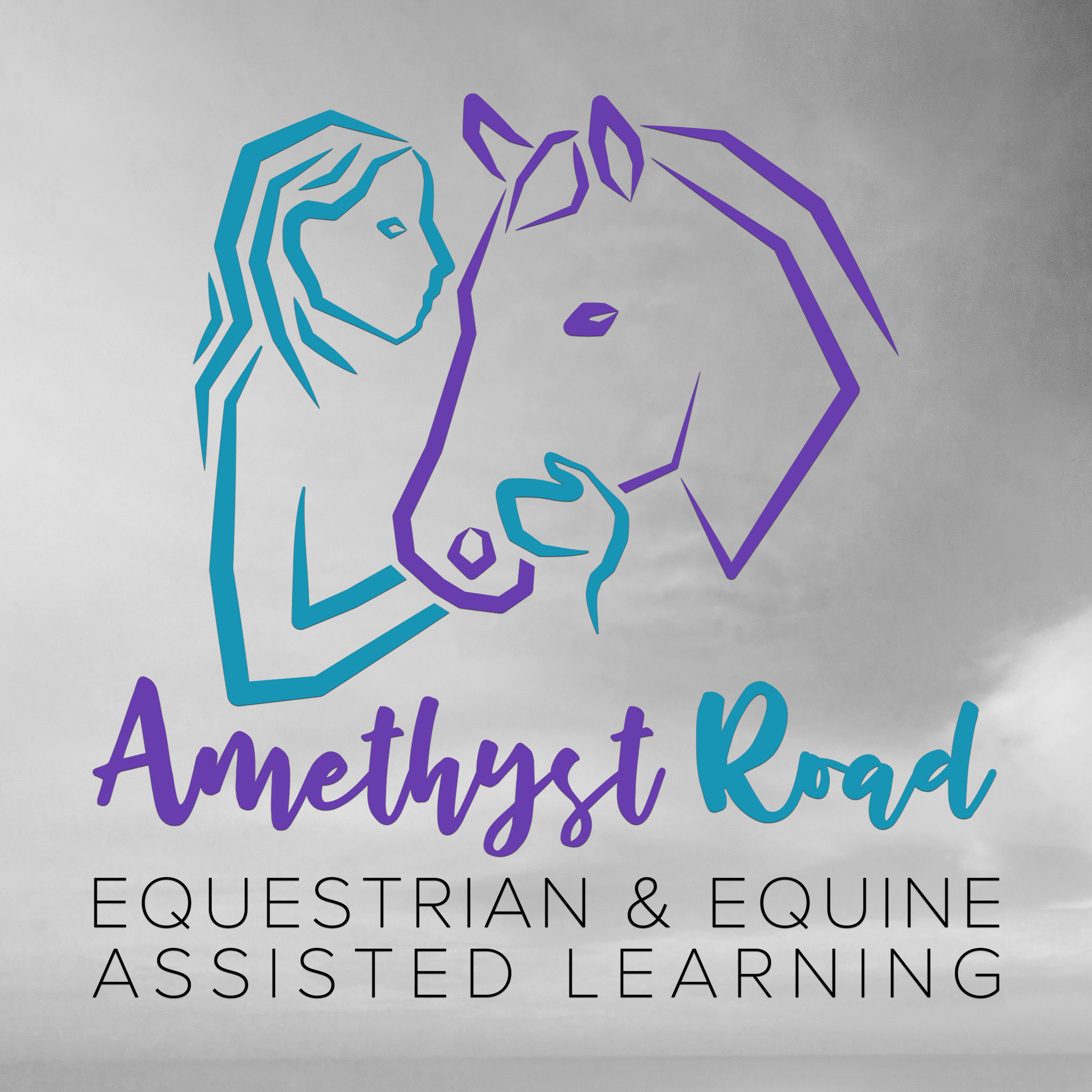 Amethyst Road Equestrian & Equine Assisted Learning