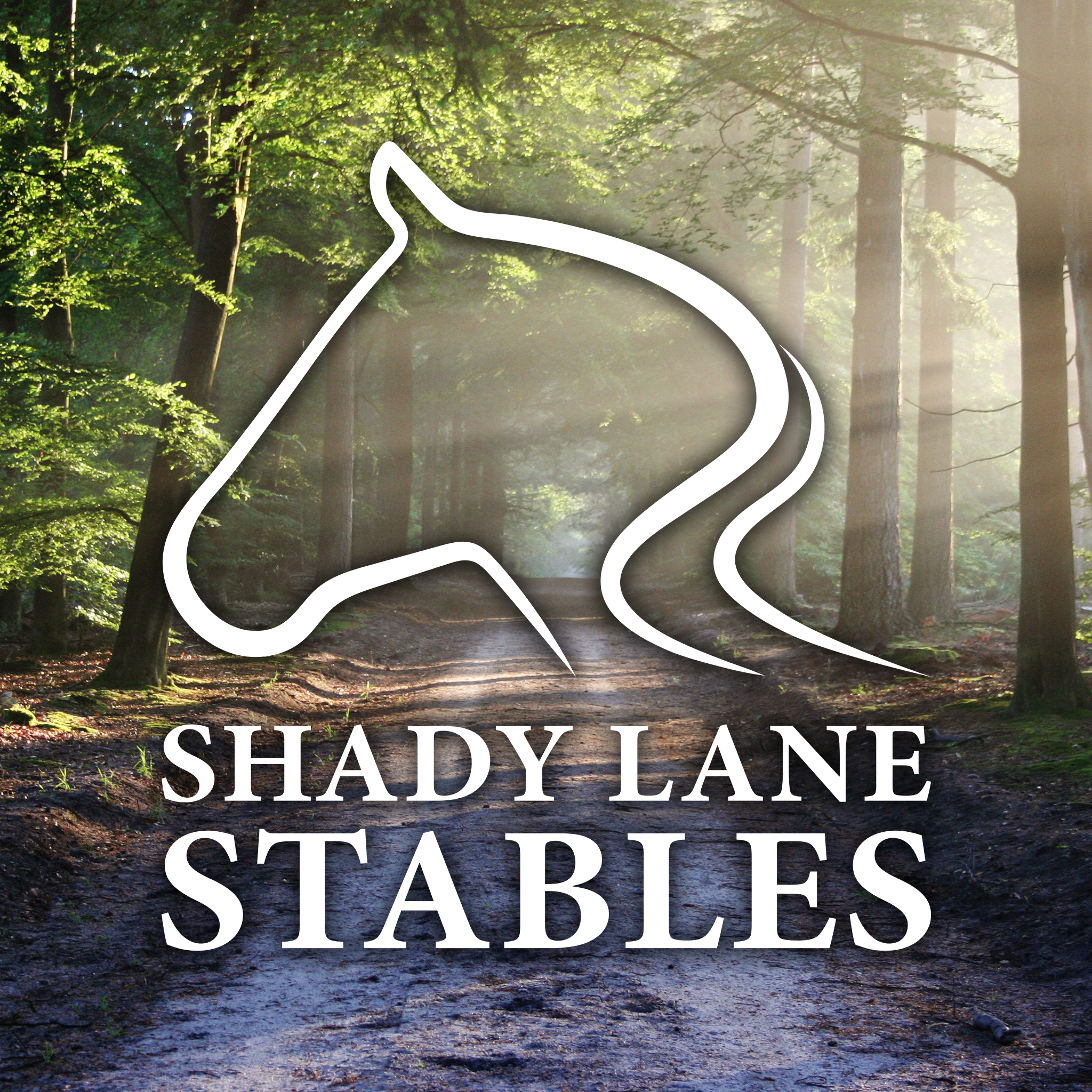 Shadylane Stables