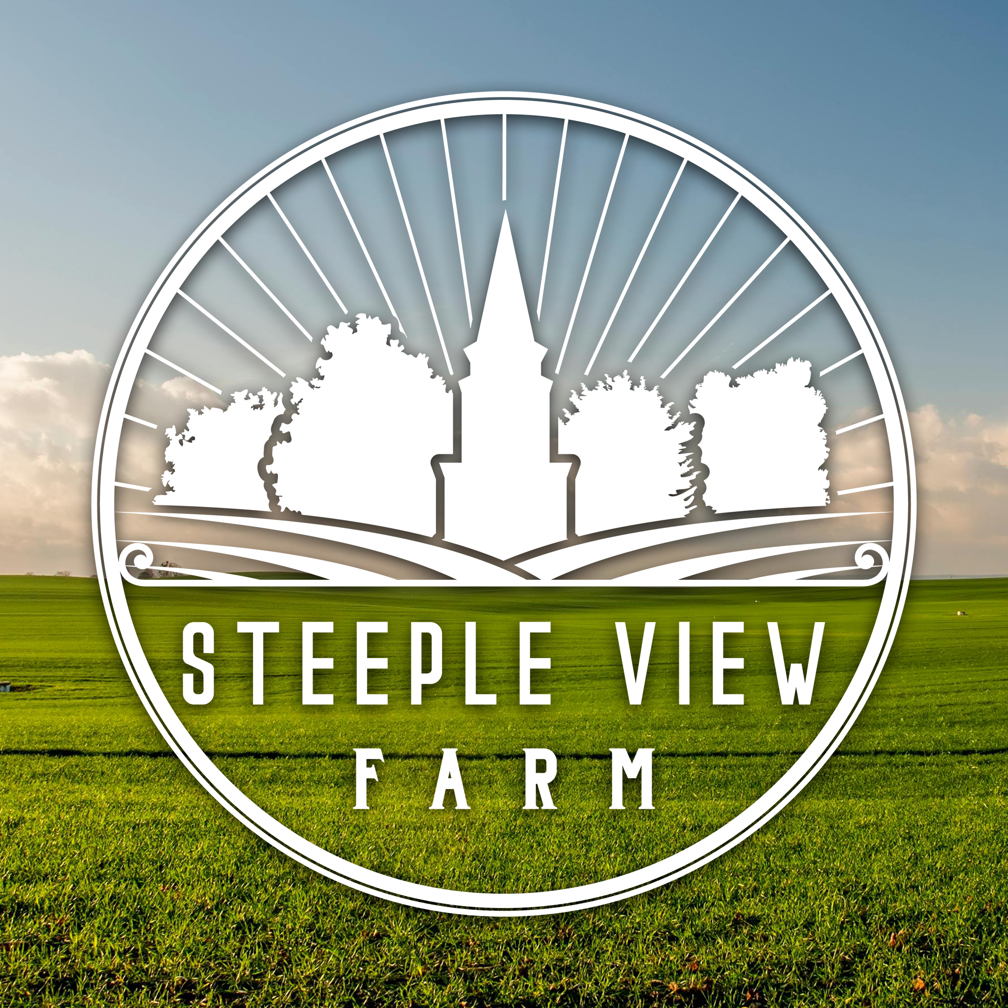 Steepleview Farm